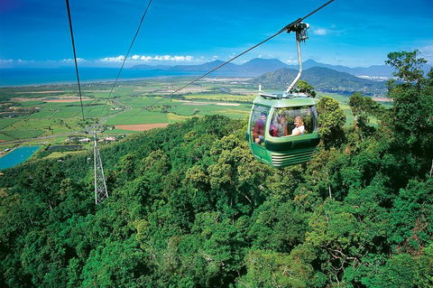Skyrail Rainforest Cableway Day Trip From Palm Cove - South Australia Travel 3