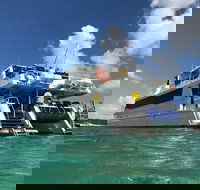 Eco Marine Safari - Boom netting  Snorkeling Moreton Island - Fortitude Valley - South Australia Travel