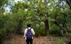 Pack-free Camping: Lake McKenzie Central Hike - 2 Days - thumb 1