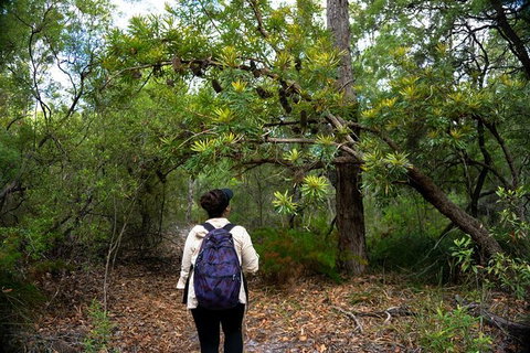 Pack-free Camping: Lake McKenzie Central Hike - 2 Days - South Australia Travel 1