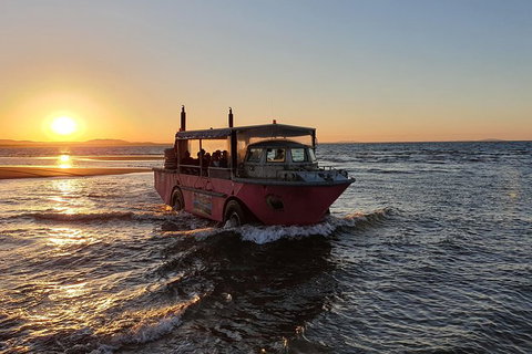 Town Of 1770 Afternoon Cruise - South Australia Travel 7