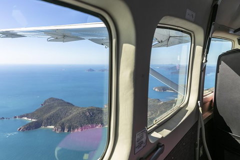 Scenic Flight - Great Barrier Reef, Heart Reef, Whitehaven Beach & Hill Inlet! - South Australia Travel 7