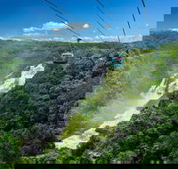 Skyrail Rainforest Cableway Day Trip from Port Douglas - South Australia Travel
