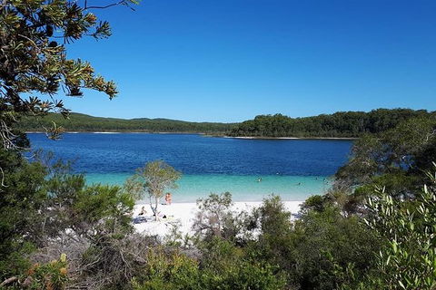 Overnight Fraser Island Camping Safari From Brisbane - South Australia Travel 0