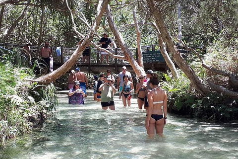 Overnight Fraser Island Camping Safari From Brisbane - South Australia Travel 3