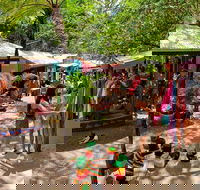 Kuranda Day Trip small group from Port Douglas by bus - South Australia Travel