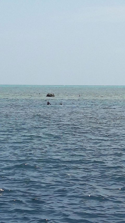Great Barrier Reef Cruise From Townsville Or Magnetic Island - South Australia Travel 2