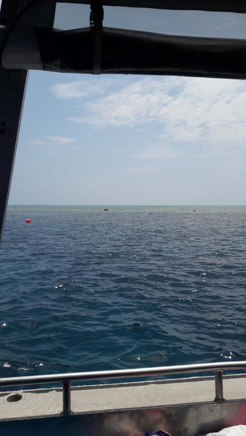 Great Barrier Reef Cruise From Townsville Or Magnetic Island - South Australia Travel 3