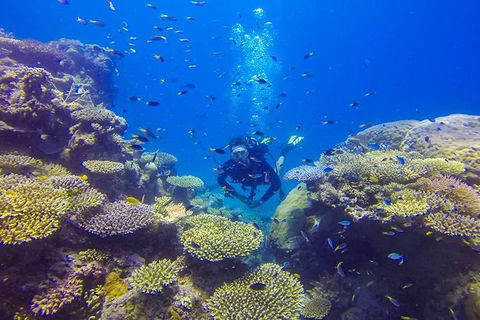 Great Barrier Reef Cruise From Townsville Or Magnetic Island - South Australia Travel 12