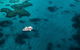 Great Barrier Reef Cruise From Townsville Or Magnetic Island - thumb 7