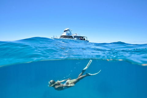 Great Barrier Reef Cruise From Townsville Or Magnetic Island - South Australia Travel 10