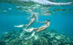 Great Barrier Reef Cruise From Townsville Or Magnetic Island - thumb 8