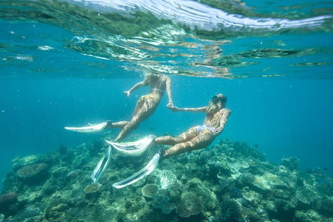 Great Barrier Reef Cruise From Townsville Or Magnetic Island - South Australia Travel 8