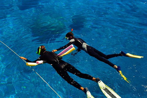 Great Barrier Reef Cruise From Townsville Or Magnetic Island - South Australia Travel 13