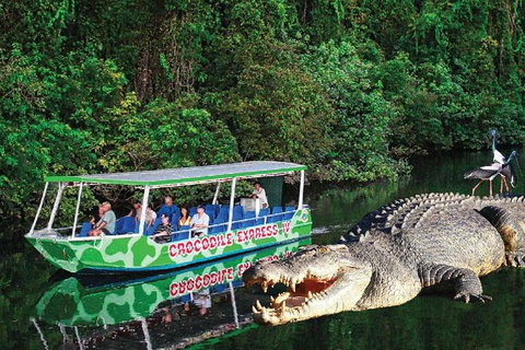 Daintree River Cruise - South Australia Travel 7