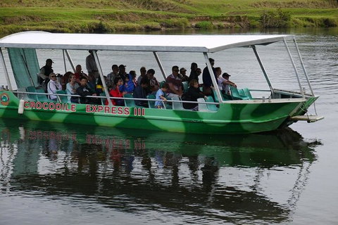 Daintree River Cruise - South Australia Travel 2
