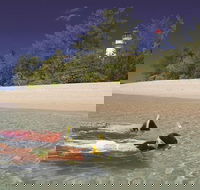 Wavedancer Low Isles Great Barrier Reef Sailing Cruise from Palm Cove - South Australia Travel