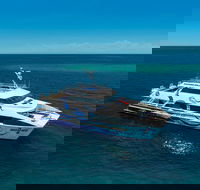 AquaQuest Great Barrier Reef Diving and Snorkeling Cruise from Port Douglas - South Australia Travel