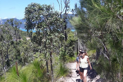Scenic Guided Walk Up Mt Rooper For Best Whitsunday Views From Airlie Beach - South Australia Travel 1