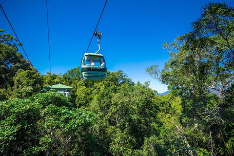 Kuranda Scenic Railway Day Trip From Palm Cove - South Australia Travel 3