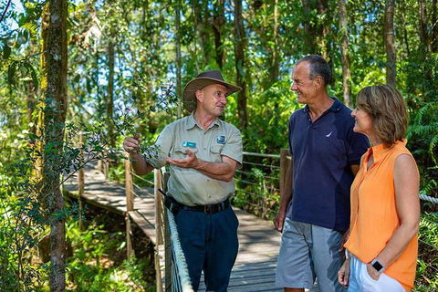 Kuranda Scenic Railway Day Trip From Palm Cove - South Australia Travel 4