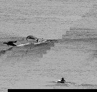 Overnight Tweed Coast Camping and Surfing Getaway From The Gold Coast - South Australia Travel