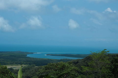 Cape Tribulation, Daintree Rainforest And Wildlife Tour - South Australia Travel 7