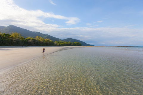 Cape Tribulation, Daintree Rainforest And Wildlife Tour - South Australia Travel 6