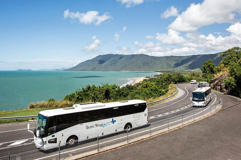 Cape Tribulation, Daintree Rainforest And Wildlife Tour - South Australia Travel 3
