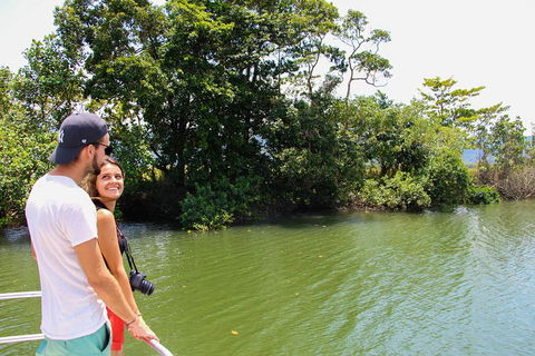 Cape Tribulation, Daintree Rainforest And Wildlife Tour - South Australia Travel 8