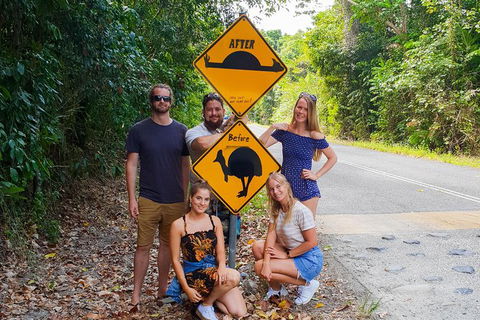 Cape Tribulation, Daintree Rainforest And Wildlife Tour - South Australia Travel 10