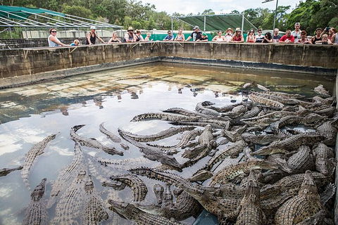 Hartley\'s Crocodile Adventures Day Trip From Palm Cove - South Australia Travel 7