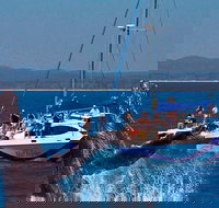 Blue Dolphin Exclusive Whale Watch Encounters - South Australia Travel