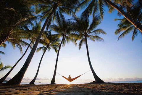Port Douglas And Hartley's Crocodile Adventure Day Trip From Cairns - South Australia Travel 0