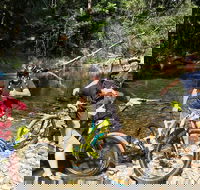 Electric Mountain Bike Rainforest Eco Tour - South Australia Travel