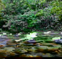 Mossman Silky Oaks to/from Cairns - South Australia Travel
