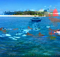 Low Island Snorkelling Private Charter Aboard Authentic Chinese Junk Boat - South Australia Travel