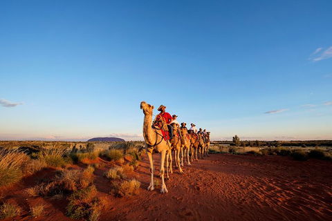 Uluru Small-Group Tour By Camel At Sunrise Or Sunset - South Australia Travel 0