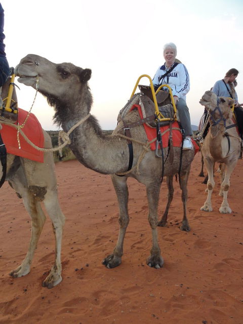Uluru Small-Group Tour By Camel At Sunrise Or Sunset - South Australia Travel 2