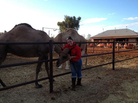Uluru Small-Group Tour By Camel At Sunrise Or Sunset - South Australia Travel 21