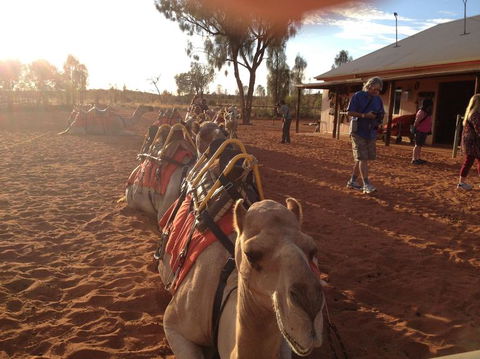 Uluru Small-Group Tour By Camel At Sunrise Or Sunset - South Australia Travel 22