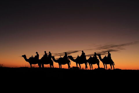Uluru Small-Group Tour By Camel At Sunrise Or Sunset - South Australia Travel 27