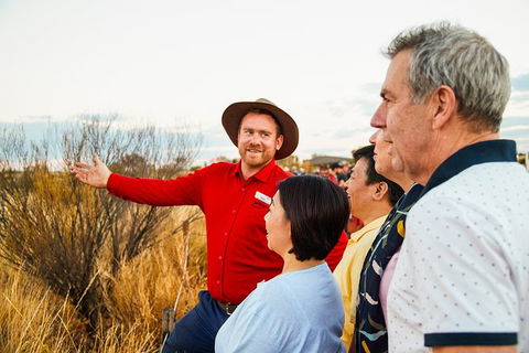 Uluru (Ayers Rock) Sunset With Outback Barbecue Dinner And Star Tour - South Australia Travel 22