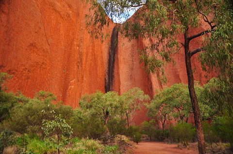 Uluru Sunrise And Guided Base Walk - South Australia Travel 14