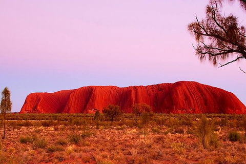 Uluru Small Group Tour Including Sunset - South Australia Travel 1
