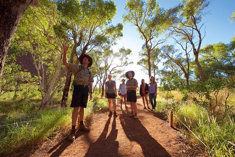 Uluru Small Group Tour Including Sunset - South Australia Travel 5