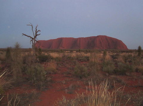 Uluru Base And Sunset Half-Day Trip With Optional Outback BBQ Dinner - South Australia Travel 3
