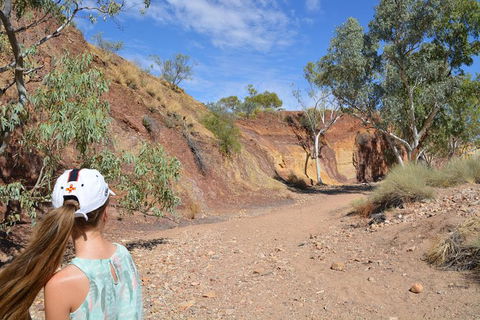West MacDonnell Ranges Small-Group Full-Day Guided Tour - South Australia Travel 2