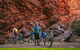 Alice Springs Outback Cycling Tours - thumb 1