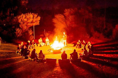 4-Day Red Centre Camping Safari From Alice Springs Or Ayers Rock Including Kings Canyon - South Australia Travel 0